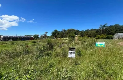 Terreno à venda na Pedro Aloys Deimling, Linha Gorgen, Morro Reuter
