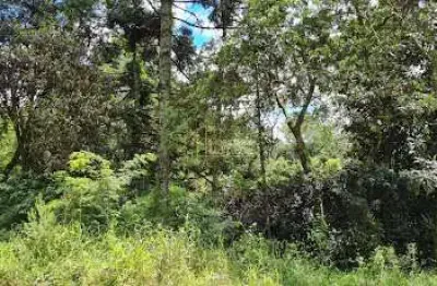 Terreno, 1795m², à venda em dois irmãos, loteamento jardim bonamigo