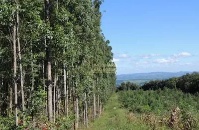 Chácara / sítio à venda na Sapiranga, São Jacó, Sapiranga