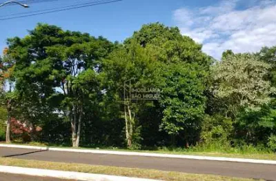 Terreno à venda na Avenida Florestal, Centro, Dois Irmãos