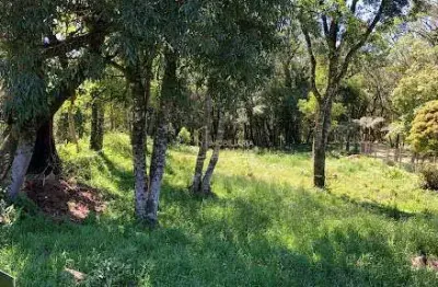 Terreno à venda na Estrada São José Do Herval, Centro, Morro Reuter