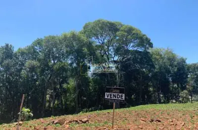 Terreno, 378.69m², à venda em dois irmãos, alto vila rosa