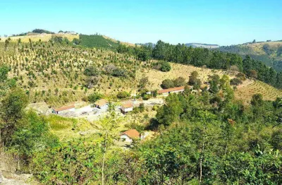 Fazenda à venda no Centro, Serra Negra 
