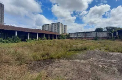 Terreno para alugar, 4000 m² por r$ 65.000,02/mês - macuco - santos/sp