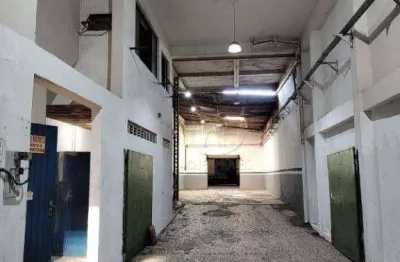 Galpão para alugar, 550 m² por r$ 14.500,02/mês - vila matias - santos/sp