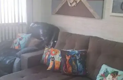 Apartamento 1 dormitorio a venda no canal 1 , campo grande.