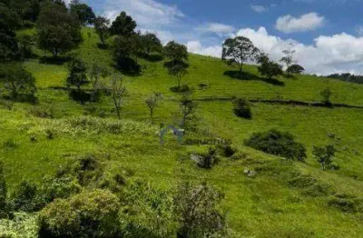 Área à venda, 193600 m² por r$ 1.500.000,00 - bairro do paiol velho - são bento do sapucaí/sp