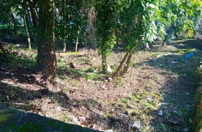 Terreno à venda, 1500 m² por r$ 890.000 - vila são josé - ribeirão pires/sp