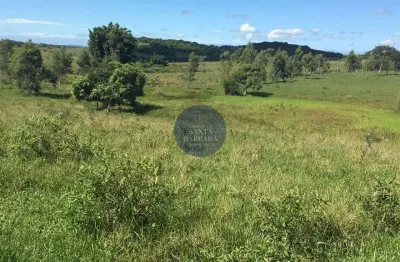 Fazenda à venda na Estrada São De Vicente, Banqueiros, Araruama