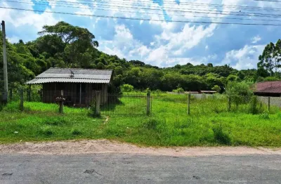 Terreno à venda na avenida baptistin pauletto, 240, del rey, são josé dos pinhais, 1240 m2 por r$ 390.000