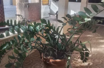 Vendo casa independente,  centro miguel couto, nova iguaçu/rj.