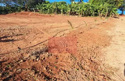 Chácara / sítio com 1 quarto à venda na Não Informado, 1, Área Rural de Apucarana, Apucarana