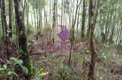 Terreno residencial à venda, somma, ribeirão pires/sp