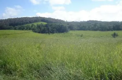 Terreno à venda no Parque Santa Rosa, Suzano 