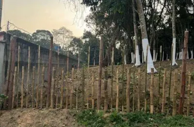 Terreno à venda no Parque Cerejeiras, Suzano 