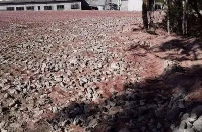 Terreno comercial para alugar no Ipelândia, Suzano 