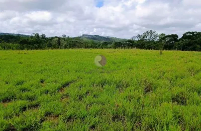 Terreno à venda no Ipelândia, Suzano 