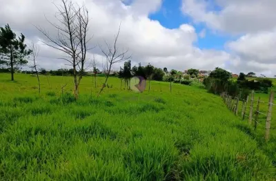Terreno à venda no Ipelândia, Suzano 