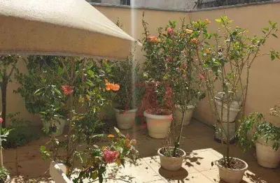 No bairro santa cecilia, térreo de 1 dormitório com pátio.