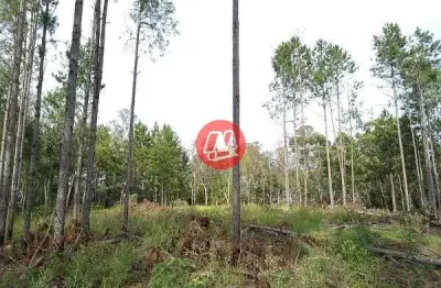 Terreno de grande porte – 3,59 ha – avenida joão antônio silveira, restinga – porto alegre