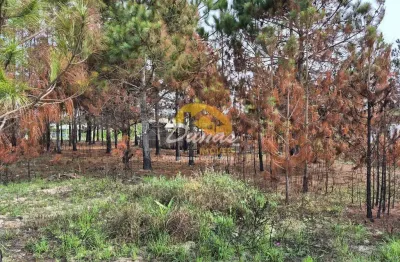 Terreno à venda no Nova Tramandaí, Tramandaí 