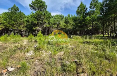 Terreno à venda no Nova Tramandaí, Tramandaí 