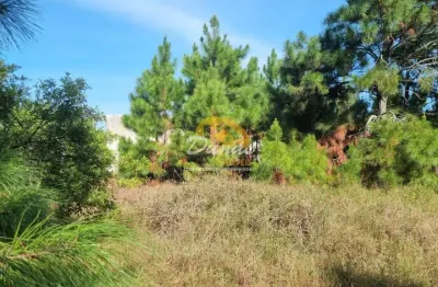Terreno à venda no Nova Tramandaí, Tramandaí 