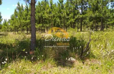 Terreno à venda no Nova Tramandaí, Tramandaí 
