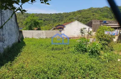 Terreno de 250m² à venda no bairro do massaguaçu em caraguatatuba, sp - ótima oportunidade de inves