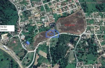 Terreno à venda no Pegorelli, Caraguatatuba 