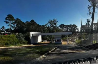 Terreno à venda na Rodovia Tapir Rocha, 6490, São Lucas, Viamão