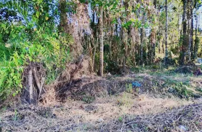Terreno para venda em caraguatatuba, balneário dos golfinhos