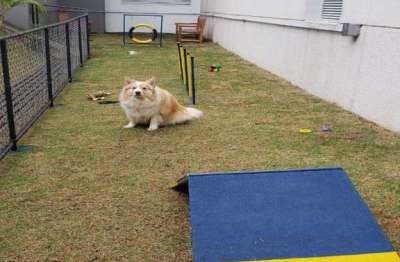 Apartamento com 2 quartos à venda na Rua Doutor Luiz Migliano, --, Jardim Caboré, São Paulo