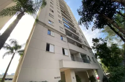 Aluguel de apartamento de 2 quartos na vila andrade, são paulo - sp: 1 suíte, 2 banheiros, 1 vaga de garagem, 61m². venha conferir!
