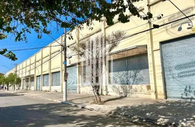 Galpao comercial em são paulo - sp, vila ribeiro de barros