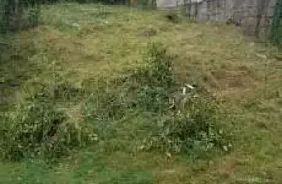 Terreno à venda, 126 m² por r$ 69.900,00 - agronomia - porto alegre/rs