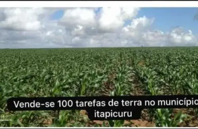 Fazenda à venda na itapicuru, centro, itapicuru, 10 m2 por r$ 350.000