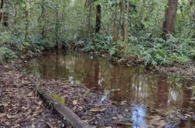 Fazenda à venda na Catu, Centro, Catu