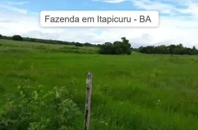 Fazenda à venda na itapicuru, centro, itapicuru, 10 m2 por r$ 1.400.000