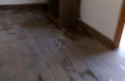 Loja comercial para venda em santos, gonzaga, 1 dormitório, 1 banheiro