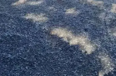 Terreno à venda no Castelo, Santos 