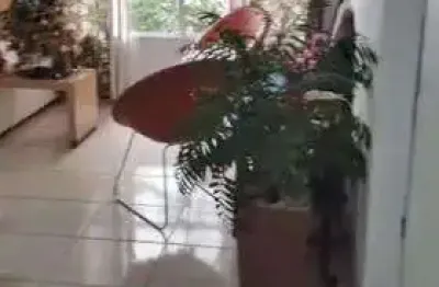 Apartamento para venda em são vicente, catiapoa, 2 dormitórios, 1 banheiro, 1 vaga