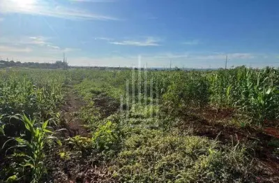 Terreno à venda na Avenida Nossa Senhora Do Carmo, Caramuru, Itaipulândia