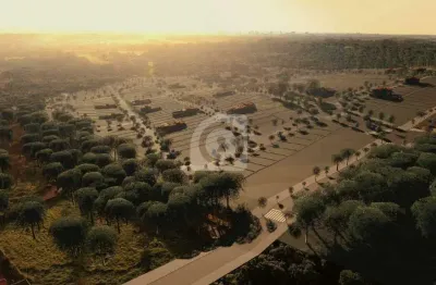 Terreno em condomínio fechado à venda no Loteamento Mata Verde, Foz do Iguaçu 