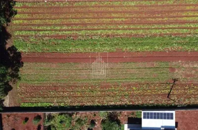 Chácara / sítio à venda no Loteamento Mata Verde, Foz do Iguaçu 