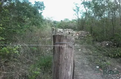 De 2.500.000,00 por r$1980000 chácara / sitio para venda recanto paiaguas cuiabá - 24237