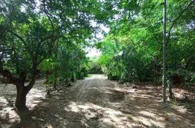 Terreno para venda, 1029m², nova esperança, cuiabá - te7167