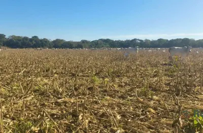 Fazenda para venda, rosário oeste, mt - 630 hectares - fa8218