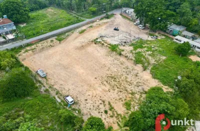 Terreno comercial à venda, 8000 m² por r$ 2.800.000 - santa etelvina - manaus/am