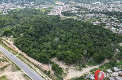 Terreno à venda, 165500 m² por r$ 74.000.000 - av. das flores - manaus/am
